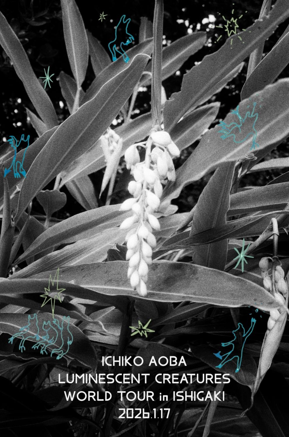 新品未開封 Keep the Forest！ 青葉通りケヤキ音楽祭 世界中の音楽ファンを魅了する音楽家・青葉市子。 来年1月、石垣